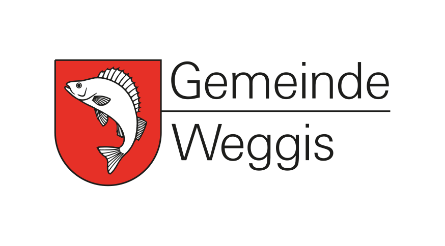 Referenzen Wasserversorgung Weggis